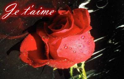 Je T'Aime